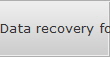 Data recovery for South Las Vegas data